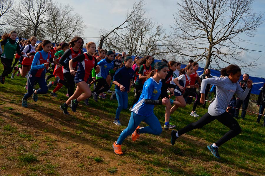 Oltre 600 atleti  al Campionato Toscano di Cross a Staffetta di Policiano