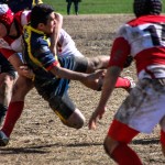 Vasari Rugby
