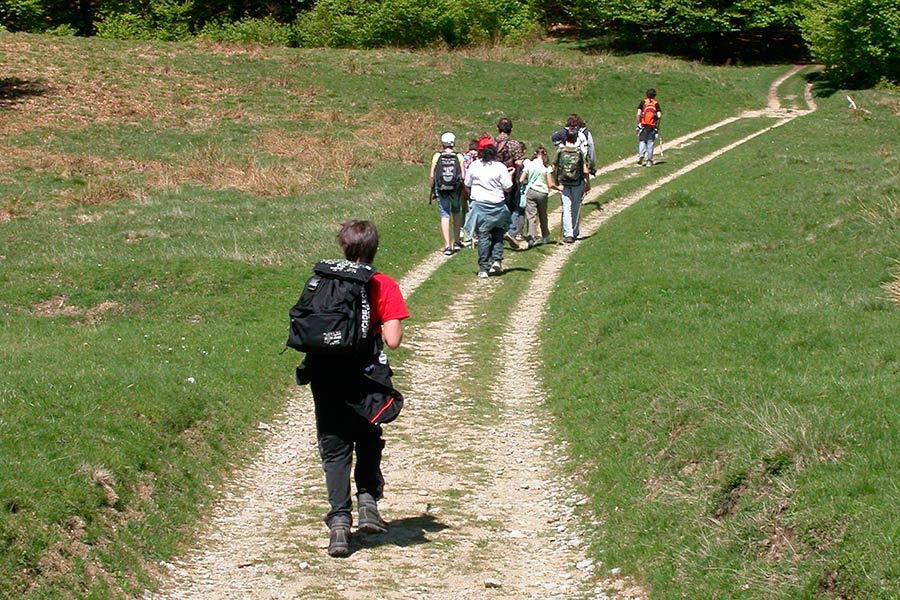 Turismo nel Parco