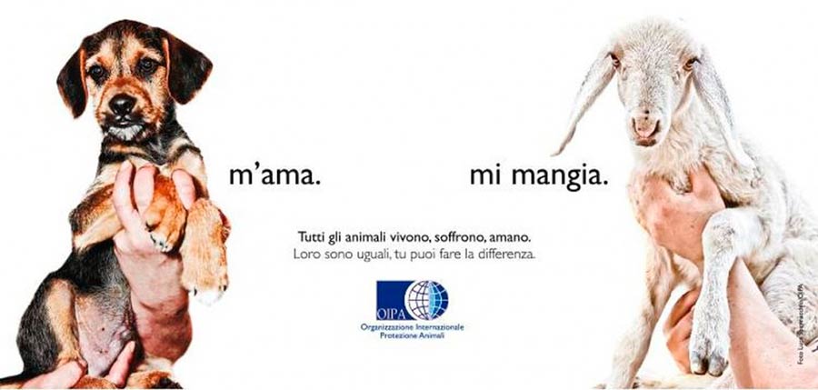 Appello delle associazioni per una festa di Pasqua senza carne