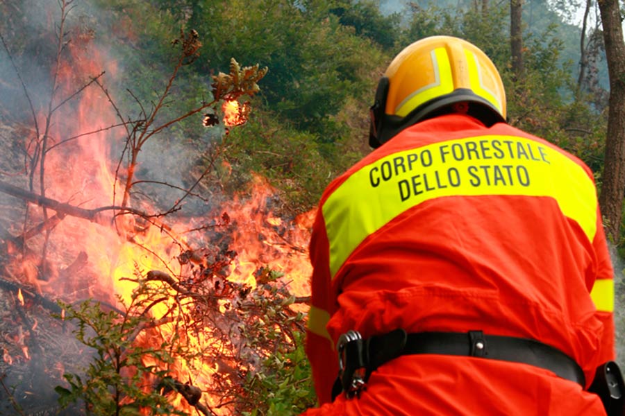 Incendio nella notte a Chiusi della Verna: il tempismo dei soccorsi ha impedito il divagare delle fiamme. La causa potrebbe essere un fulmine