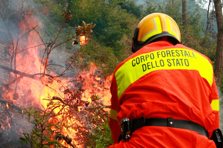 43enne muore nel tentativo di spegnere il fuoco divampato accidentalmente nella sua proprieta
