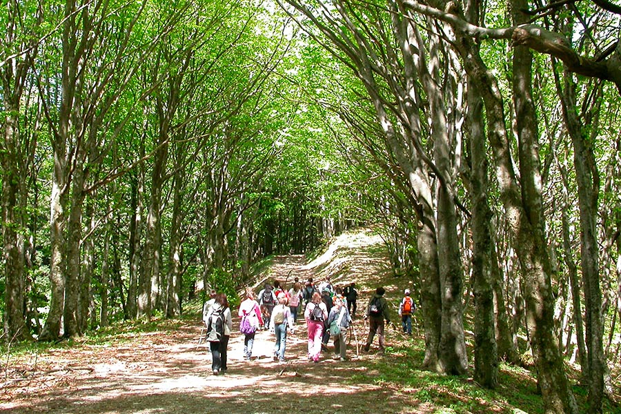 Il Parco nazionale delle Foreste casentinesi alla fiera del Birdwatching