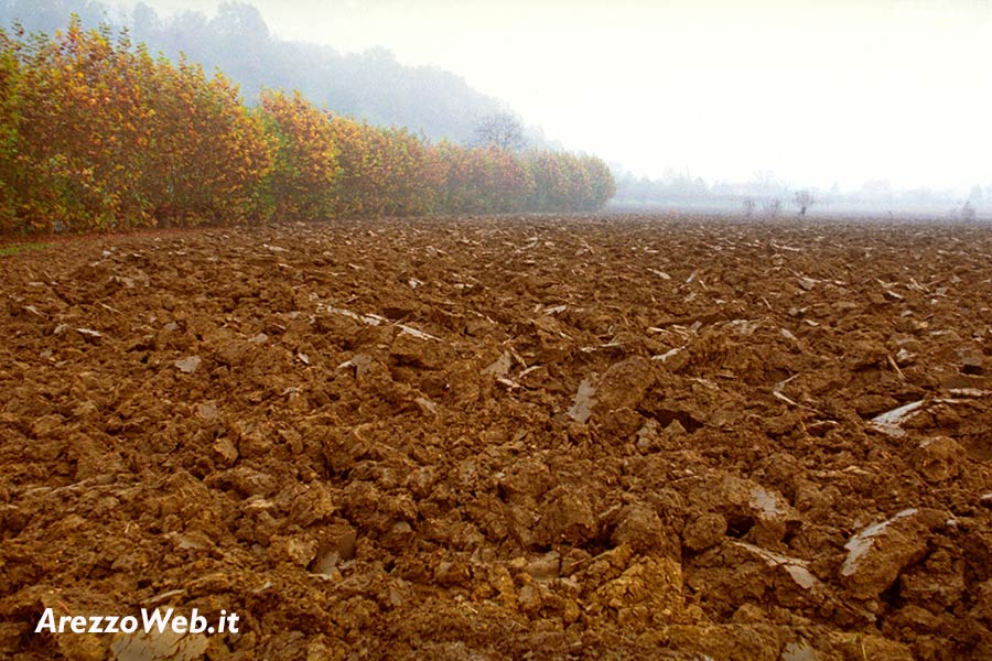 IMU su i terreni agricoli