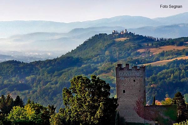 Bilancio positivo per casentino sviluppo e turismo