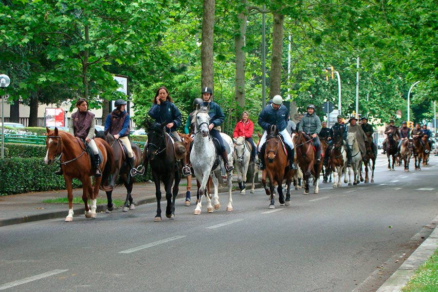 Cavallincittà il 18 maggio al Parco di Villa Severi ad Arezzo