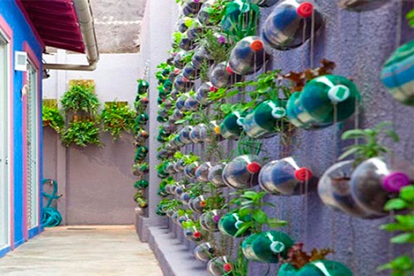 Con centinaio di bottiglie di plastica il giardino ‘VERTICALE’ diventa GREEN