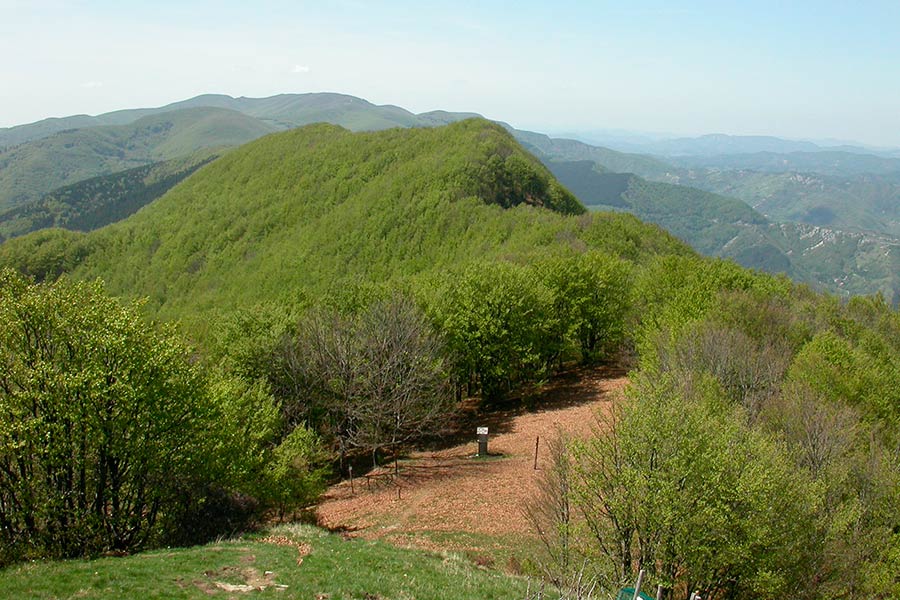 Il Casentino centro mondiale del monitoraggio geotecnico e strutturale