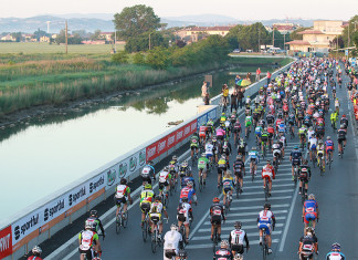 Novecolli 2014