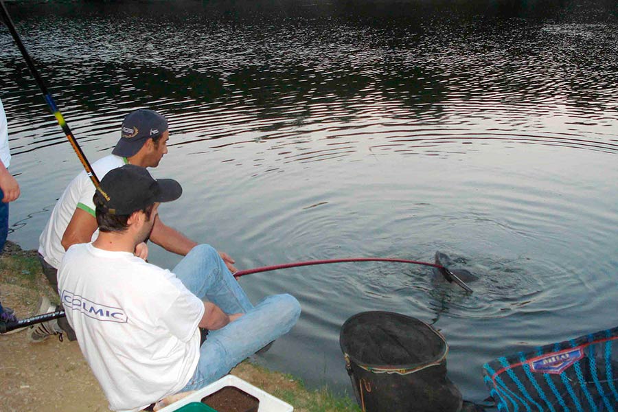 Al via i campionati provinciali di pesca alla carpa