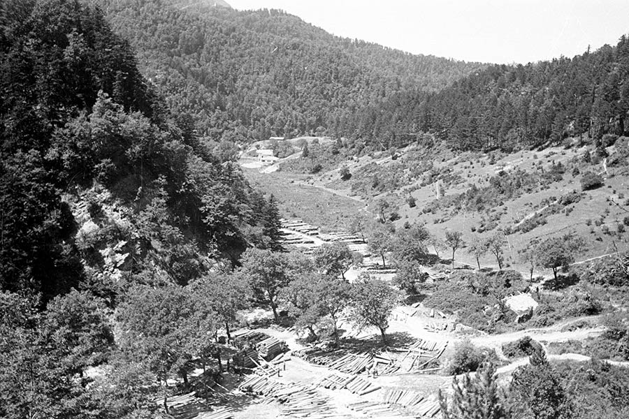 1914-2014: Cento anni della Foresta Casentinese