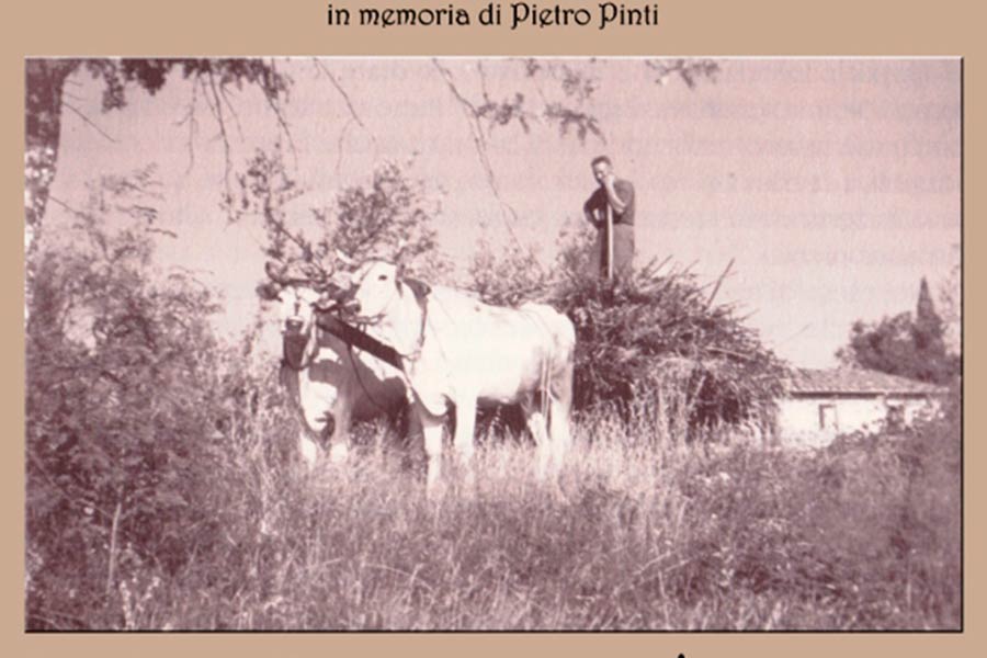 Festa della civiltà contadina a Rendola