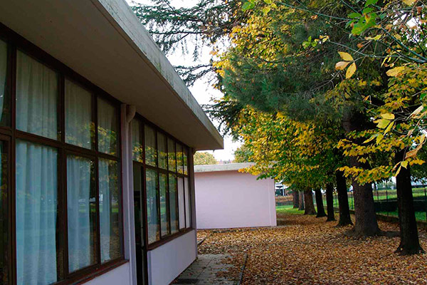 Nuovi alberi nel giardino della scuola Curina