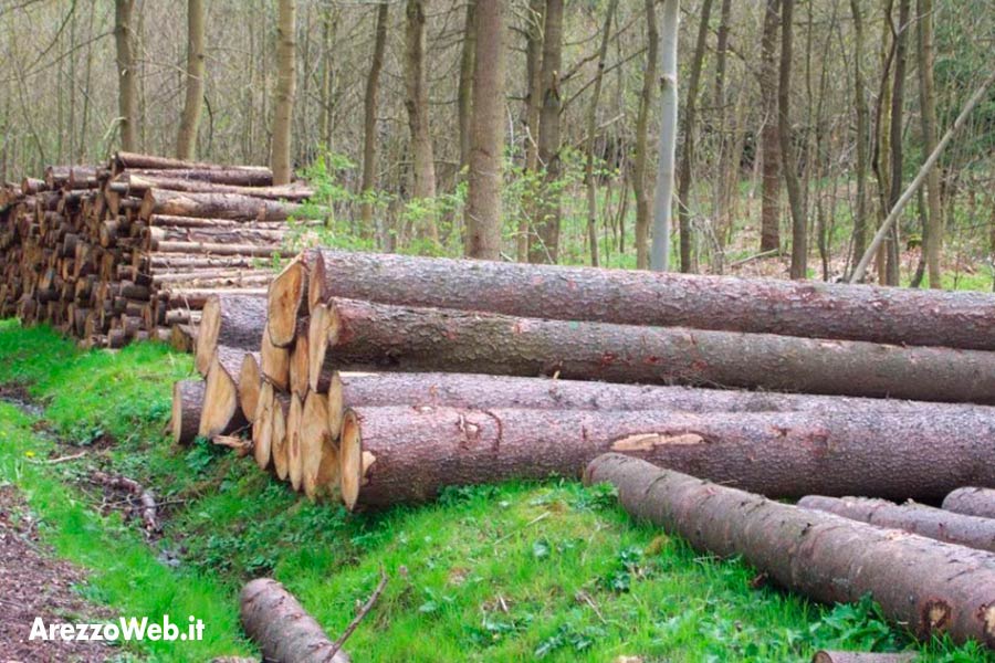 Biomasse per le aree montane, venerdì Remaschi ad Arezzo