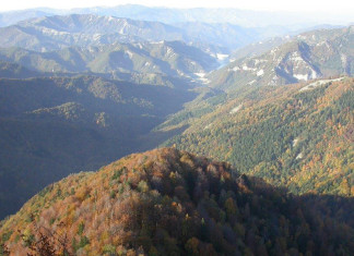 Parco del Casentino
