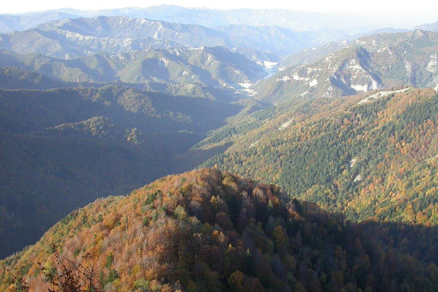 Le foto delle Foreste casentinesi vincono al concorso internazionale “Fotografare il Parco”