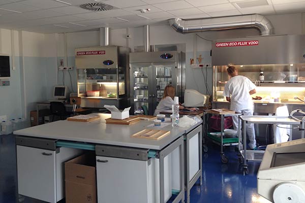 Anatomia patologica, concentrata ad Arezzo tutta l’attività programmata. Resta alla Gruccia il laboratorio per l’attività intraoperatoria