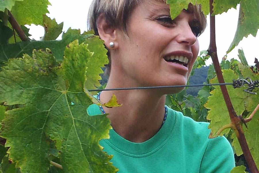 Sansepolcro: “No Tasi per i fabbricati strumentali agricoli”