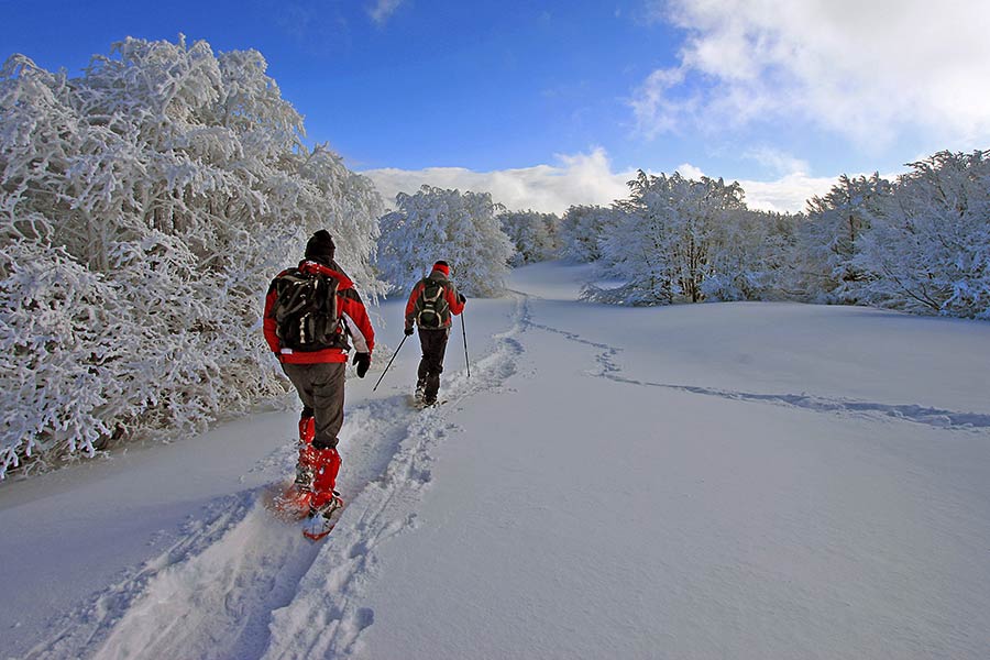 Alla scoperta dei paesaggi invernali