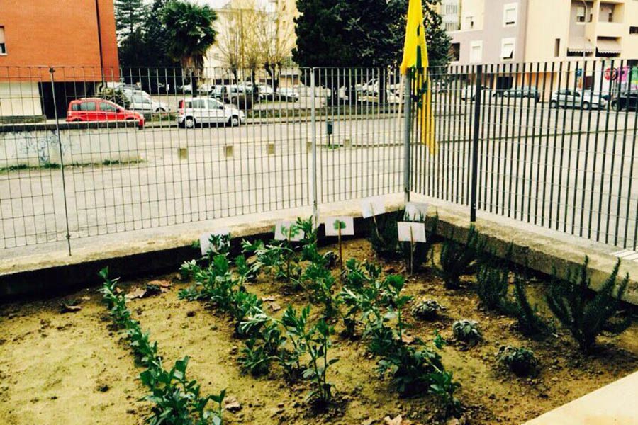 Educazione alimentare: l’orto coltivato  a scuola dai bambini sta dando i primi frutti