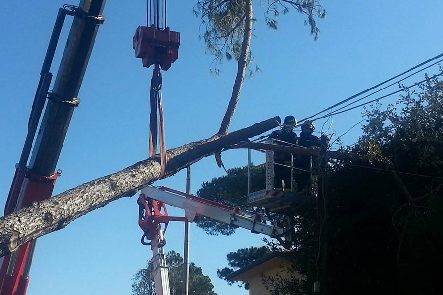 Maltempo, Arezzo: nota aggiornamento Enel – domenica 8 marzo