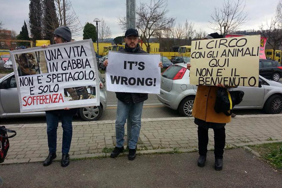 Gli animalisti tornano a presidiare il circo