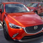 CX31
