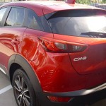 CX31