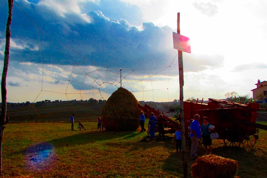 Expo inaugura la 40a Mostra del Carro Agricolo
