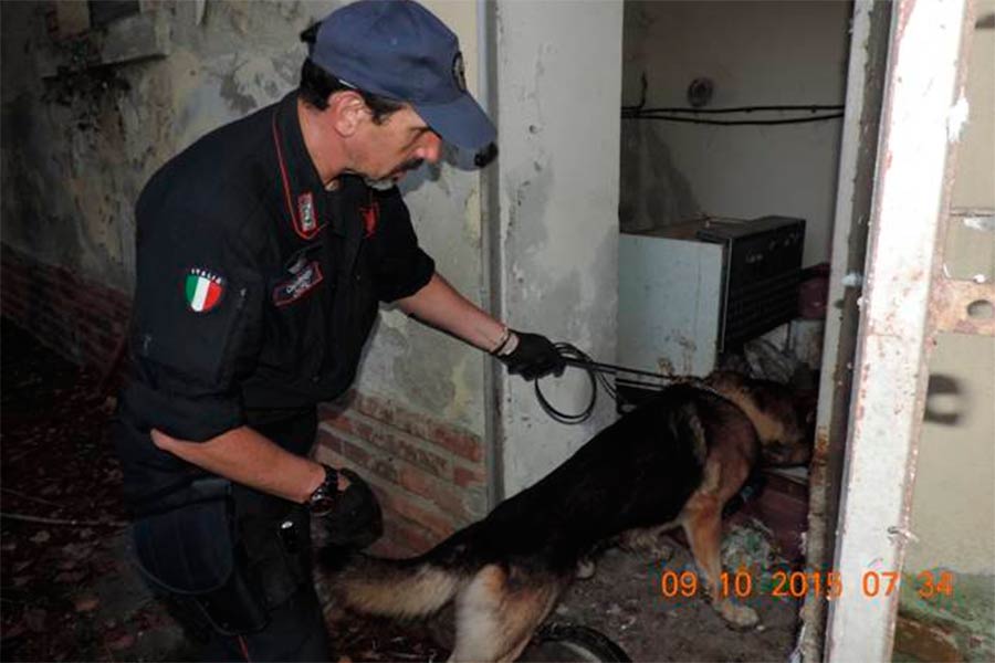 Detiene droga all’ interno di un bar: arrestato dai carabinieri 40 enne extracomunitario