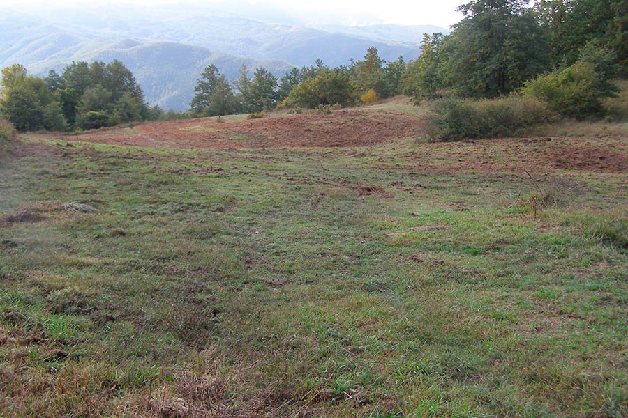 Un Parco di Foreste… Ma anche di praterie!