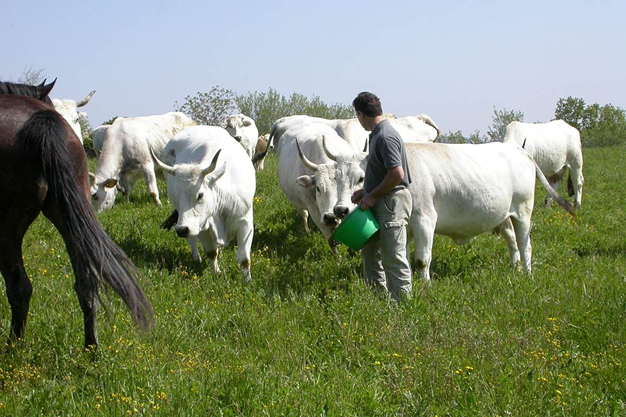 Il Parco nazionale a fianco degli allevatori