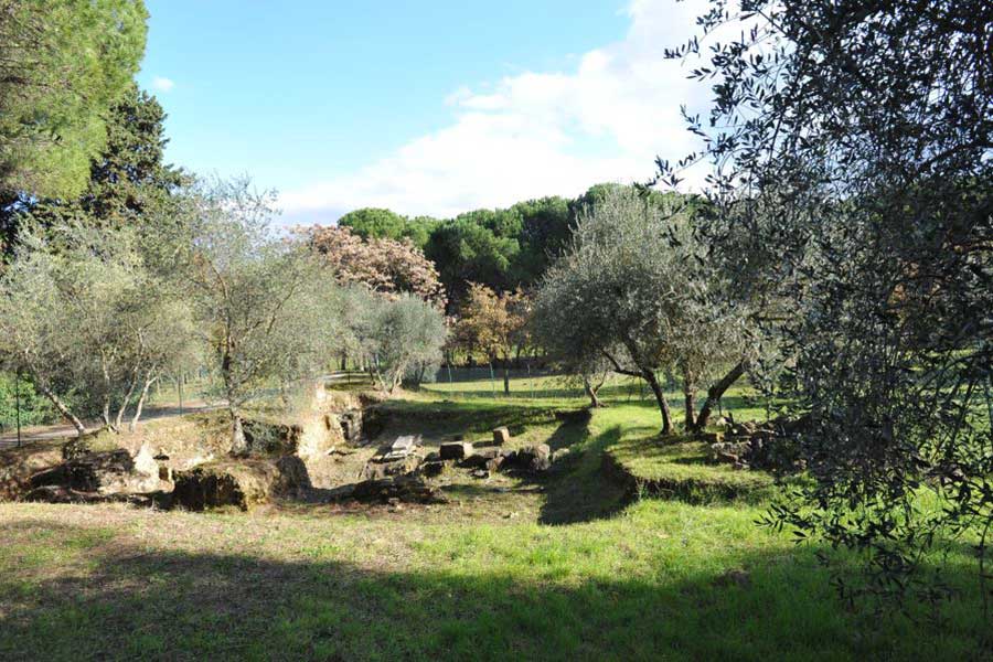 Fabbrica delle idee per Arezzo: proposte per un progetto sanitario e la valorizzazione del parco del Pionta
