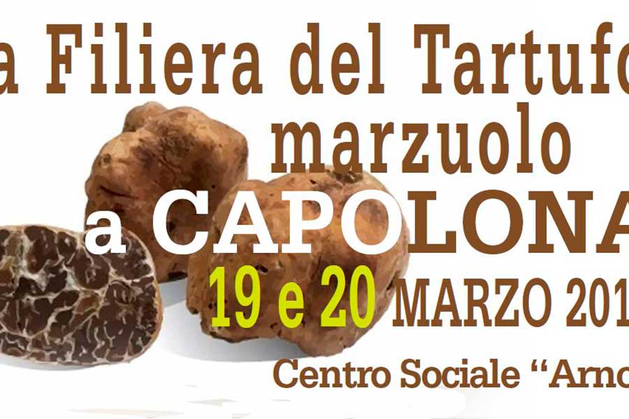 La Filiera del Tartufo marzuolo a Capolona