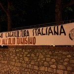 Casapound