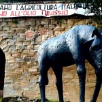 Caspoound Arezzo