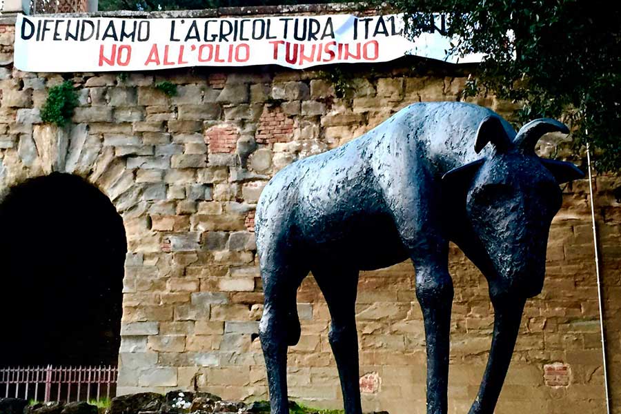 Arezzo, blitz di CasaPound: “Difendiamo l’agricoltura italiana, no all’olio tunisino”