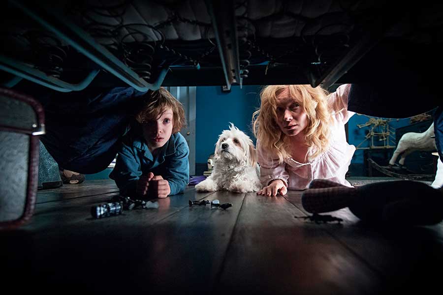 CINEWATT: rassegna cinematografica dal 21 al 26 giugno, ore 21.15