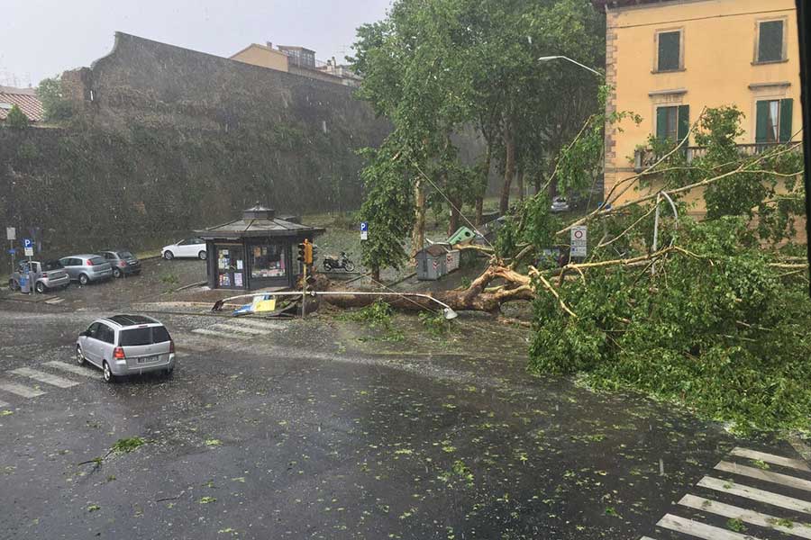 Forte temporale sulla città con grandine e alberi abbattuti – FOTO