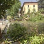 arezzo_6