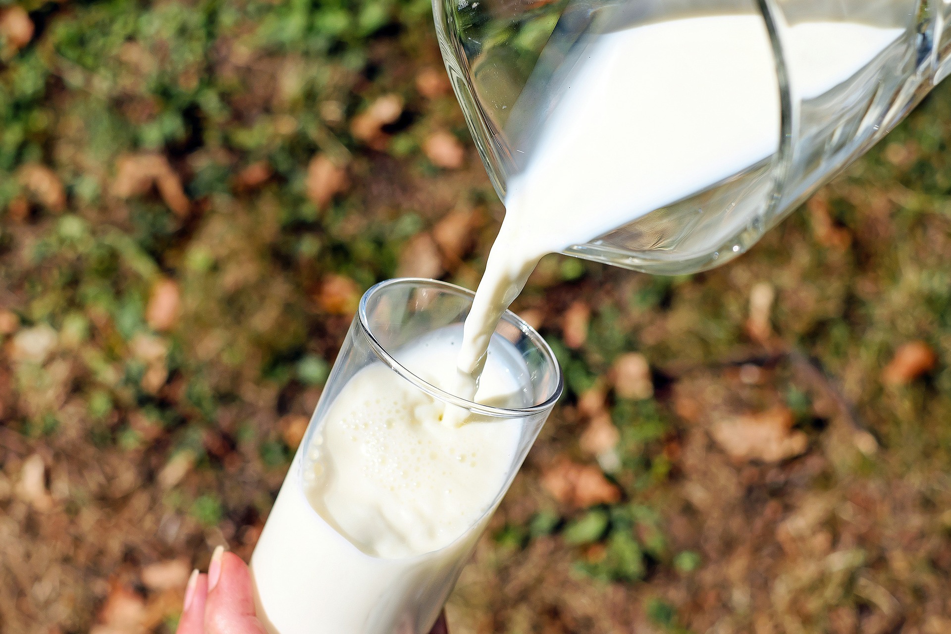 Firmato il Decreto per l’origine in etichetta per il latte, Donati: «Un passo importante per il Made in Italy»