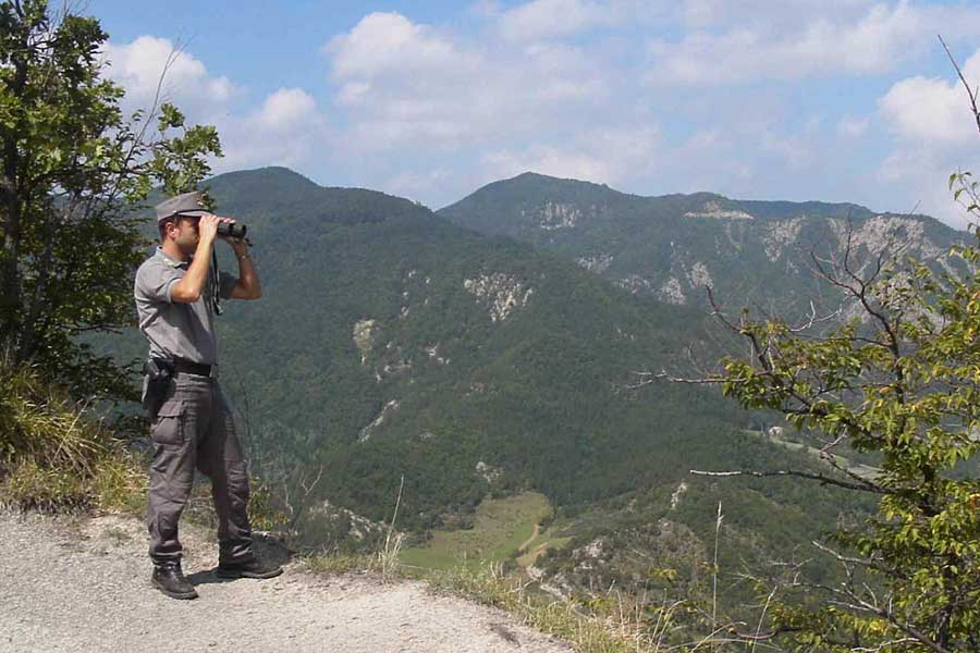 Incendi boschivi, prorogato al 10 aprile il divieto assoluto di abbruciamento di residui vegetali