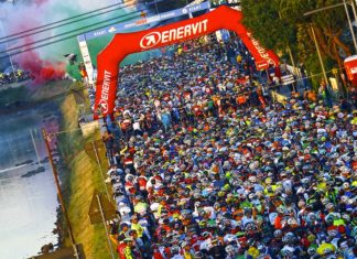 Novecolli 2017