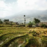 Vietnam – Simone Piccini