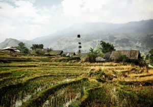 Vietnam - Simone Piccini