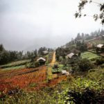 Vietnam – Simone Piccini