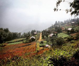 Vietnam - Simone Piccini