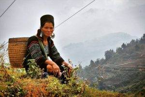 Vietnam - Simone Piccini
