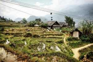 Vietnam - Simone Piccini