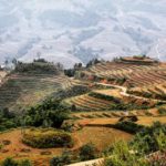 Vietnam – Simone Piccini